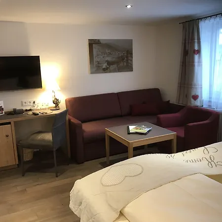 アドラー ホテル 4*